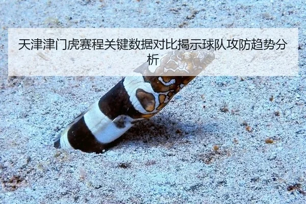 天津津门虎赛程关键数据对比揭示球队攻防趋势分析